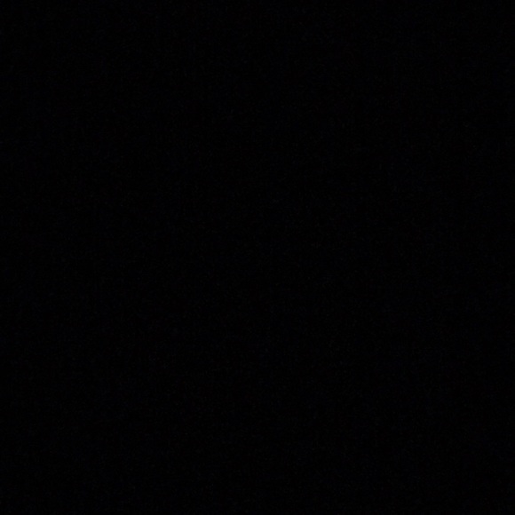 Meet your Posher, Codee - Picture 1 of 1